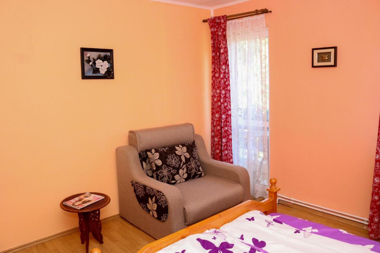 Apartament Iulia Geoagiu Bai Bagian luar foto