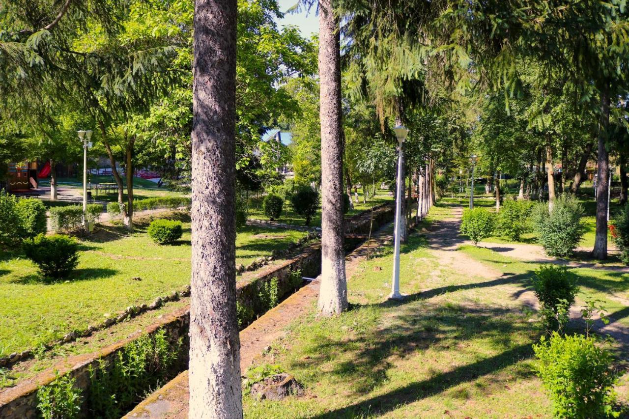 Apartament Iulia Geoagiu Bai Bagian luar foto