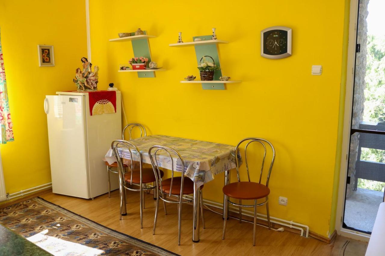 Apartament Iulia Geoagiu Bai Bagian luar foto
