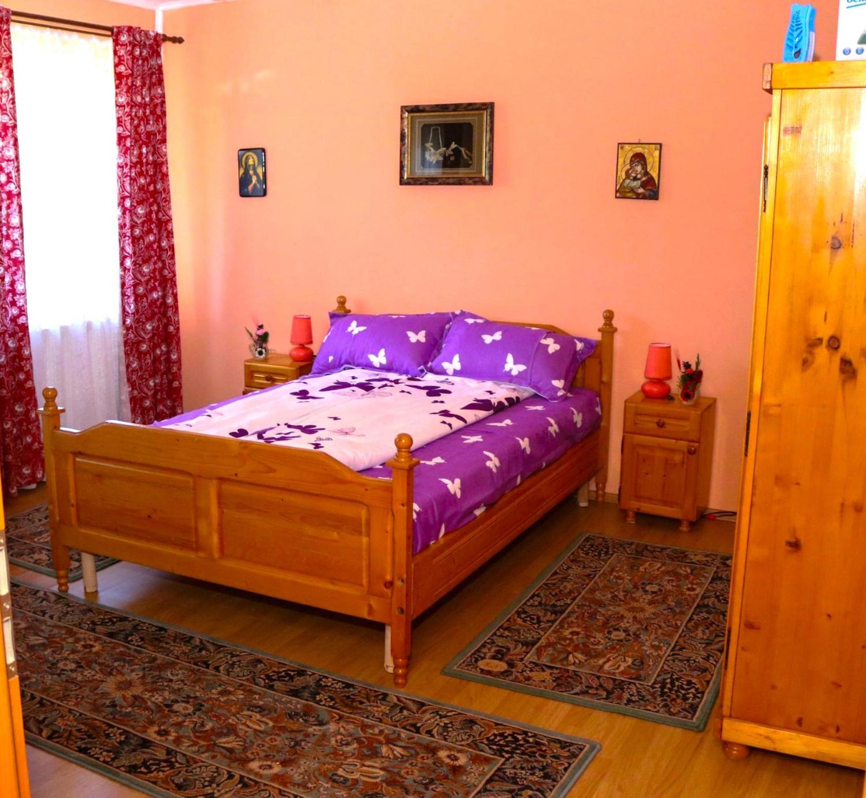 Apartament Iulia Geoagiu Bai Bagian luar foto