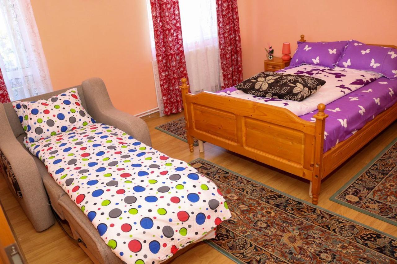 Apartament Iulia Geoagiu Bai Bagian luar foto