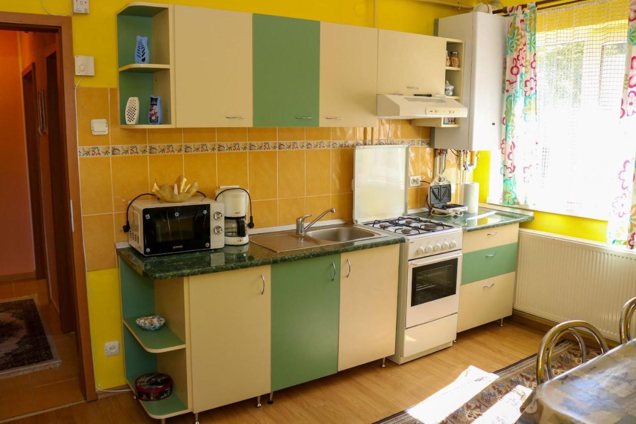 Apartament Iulia Geoagiu Bai Bagian luar foto