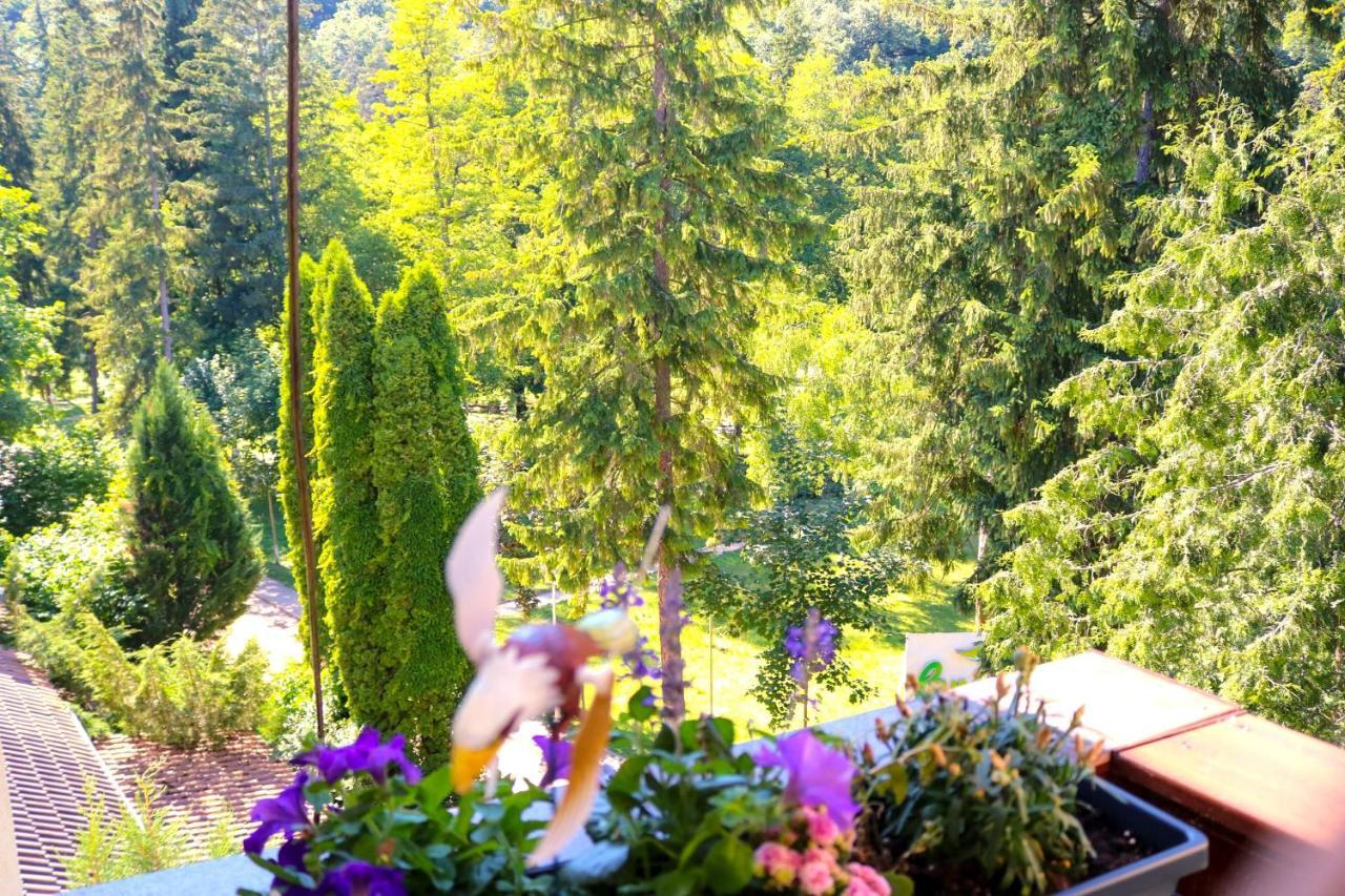 Apartament Iulia Geoagiu Bai Bagian luar foto