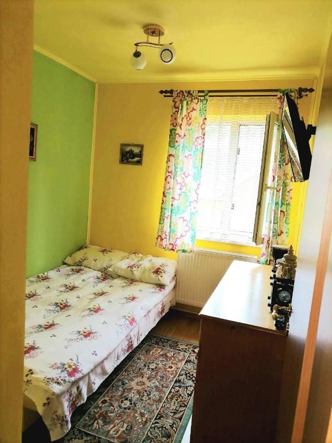 Apartament Iulia Geoagiu Bai Bagian luar foto